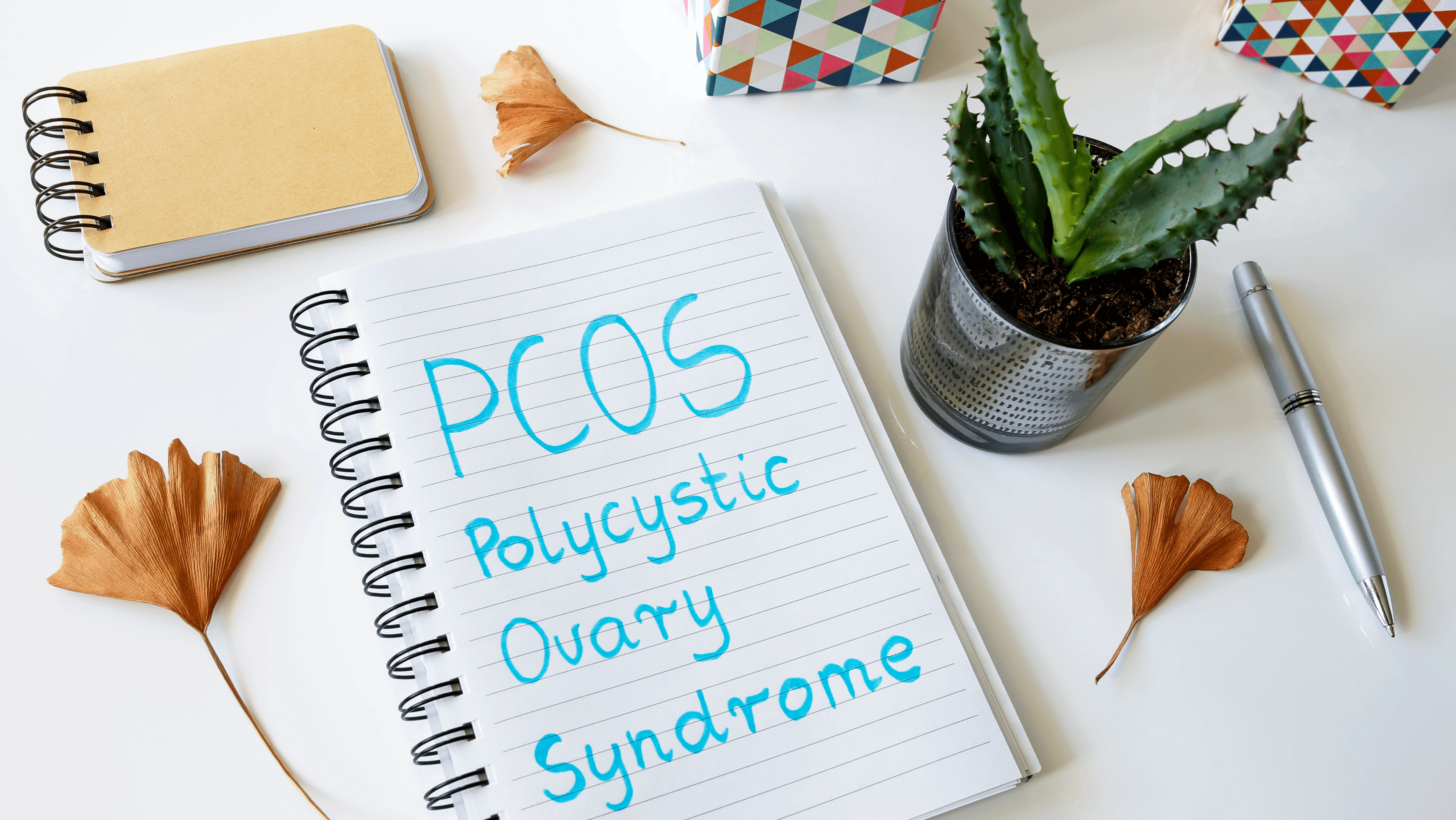 PCOS – tekkepõhjused ja ravimeetodid