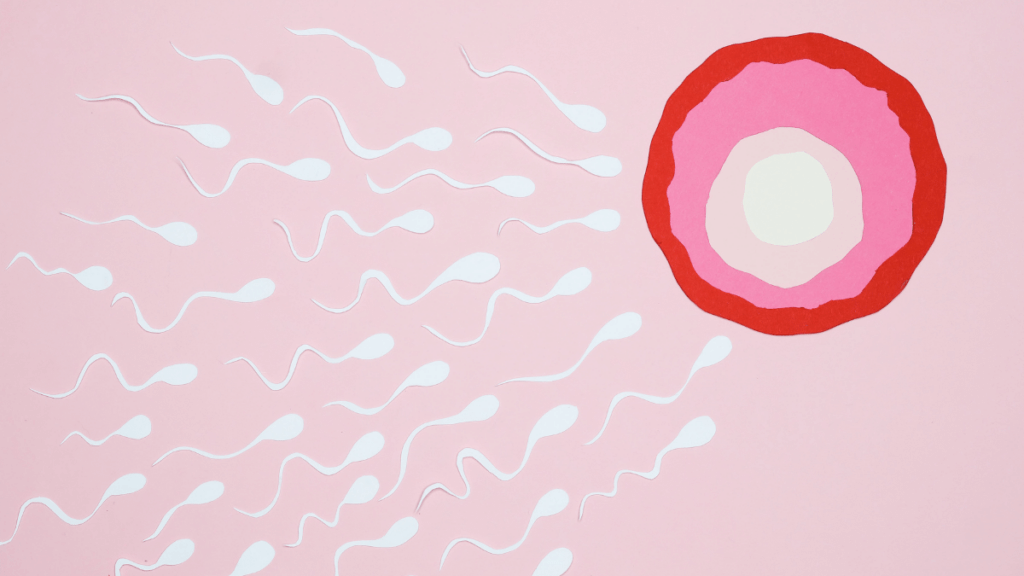 Viljatusravi nõustaja